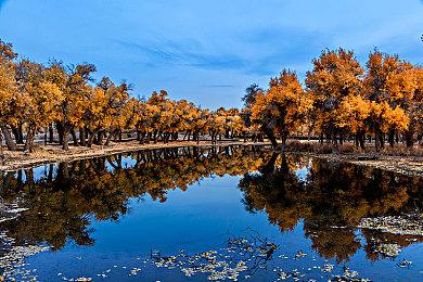卧龙苍天陨落结义等级怎么提升？卧龙苍天陨落武将结义方法